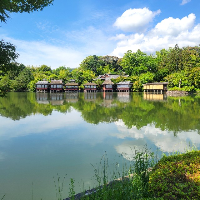 f:id:atoriatoriatori:20250610201537j:image