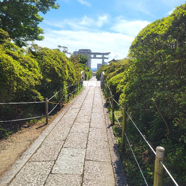 f:id:atoriatoriatori:20250610201646j:image