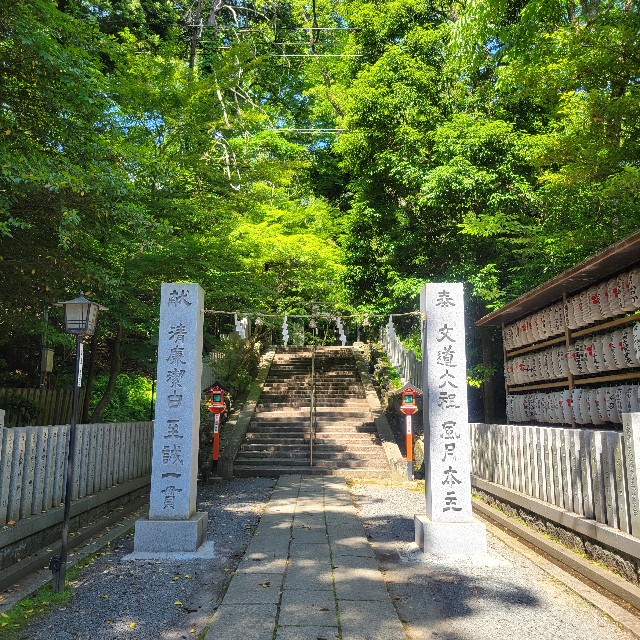 f:id:atoriatoriatori:20250610204743j:image