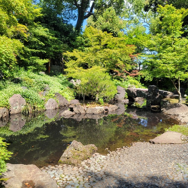 f:id:atoriatoriatori:20250610204752j:image