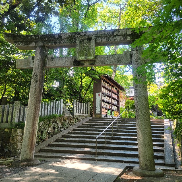 f:id:atoriatoriatori:20250610211931j:image