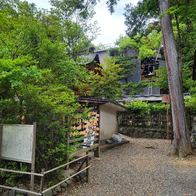 f:id:atoriatoriatori:20250611101834j:image