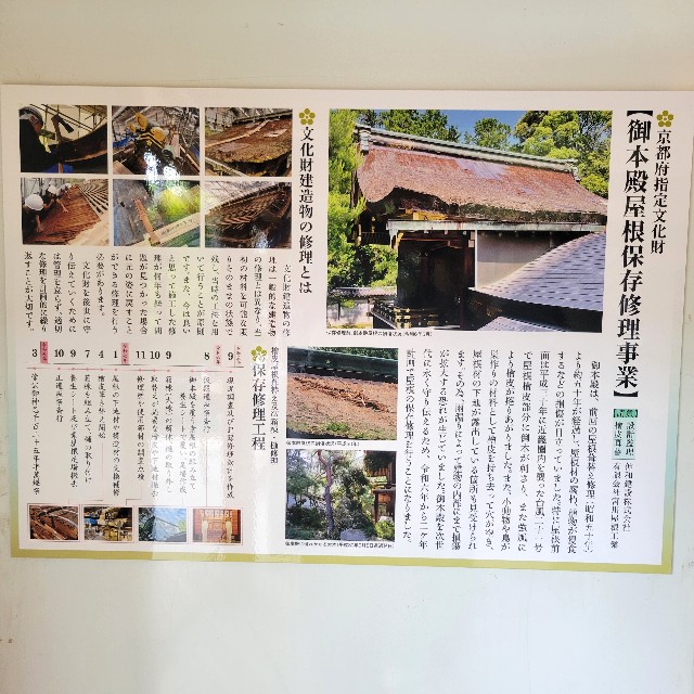 f:id:atoriatoriatori:20250611163315j:image