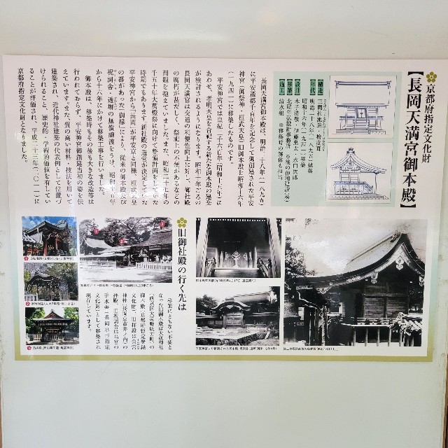 f:id:atoriatoriatori:20250611163322j:image