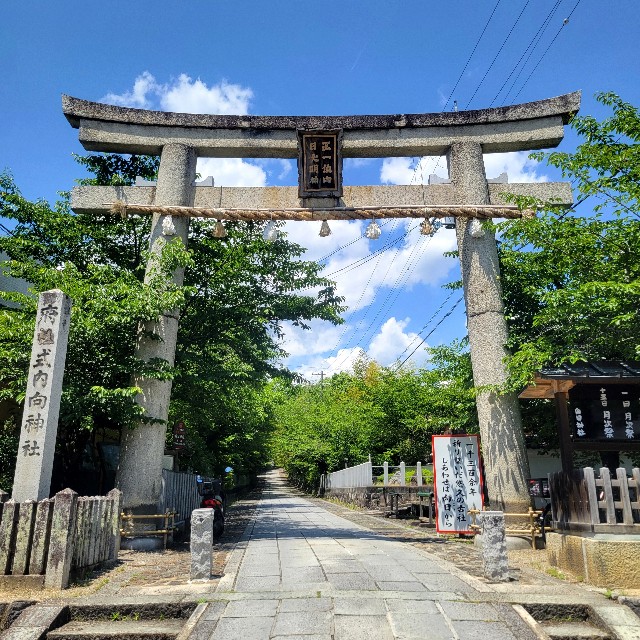 f:id:atoriatoriatori:20250611204317j:image