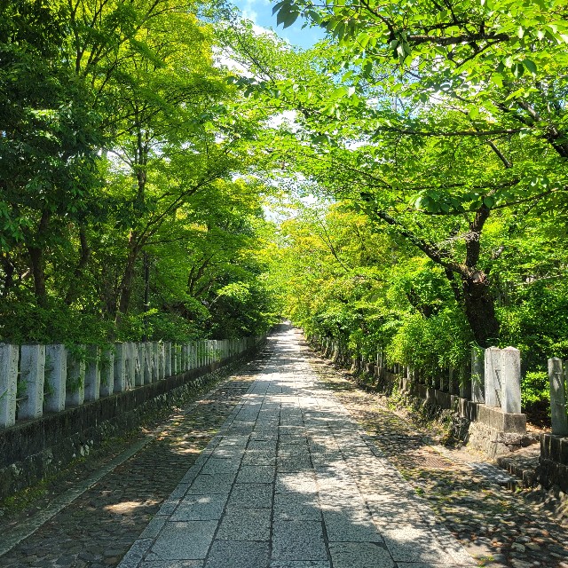 f:id:atoriatoriatori:20250612092539j:image