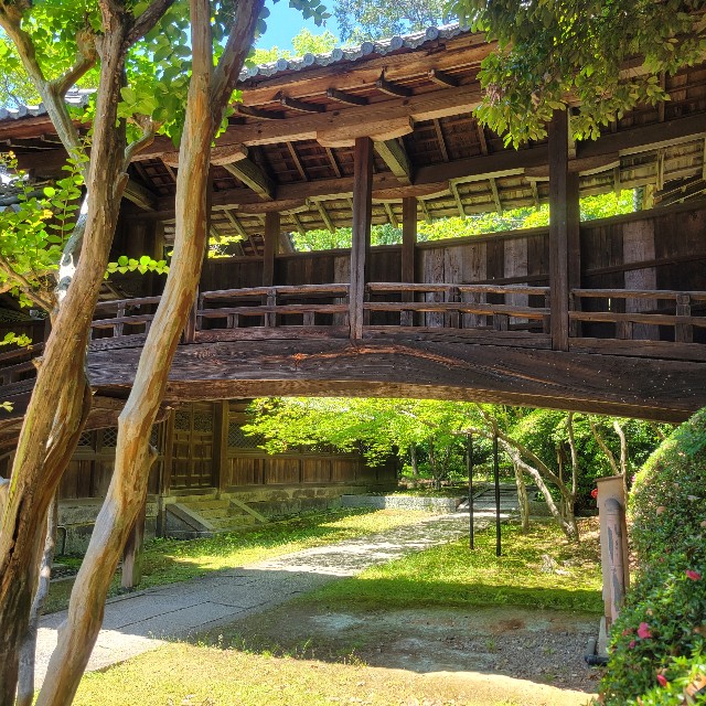 f:id:atoriatoriatori:20250612100529j:image