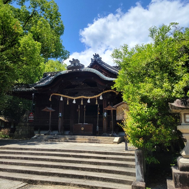 f:id:atoriatoriatori:20250612100952j:image