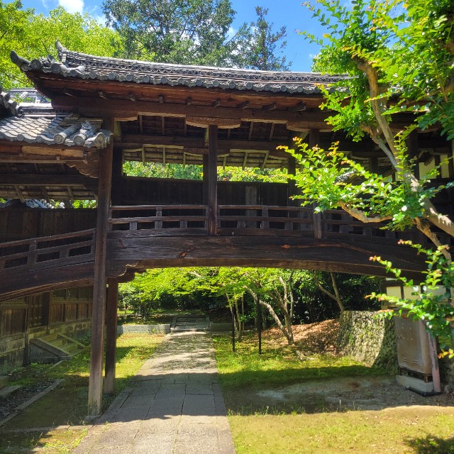 f:id:atoriatoriatori:20250612101008j:image