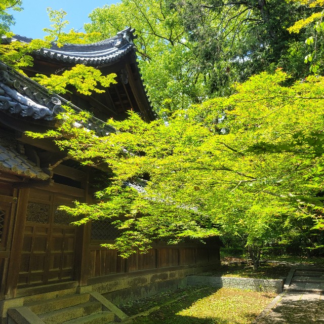 f:id:atoriatoriatori:20250612101020j:image