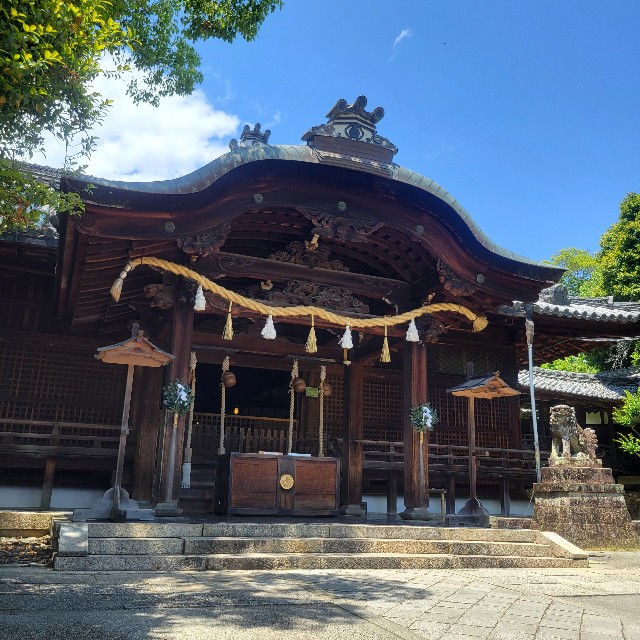 f:id:atoriatoriatori:20250612101437j:image
