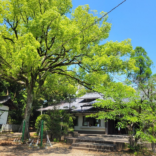 f:id:atoriatoriatori:20250612101939j:image
