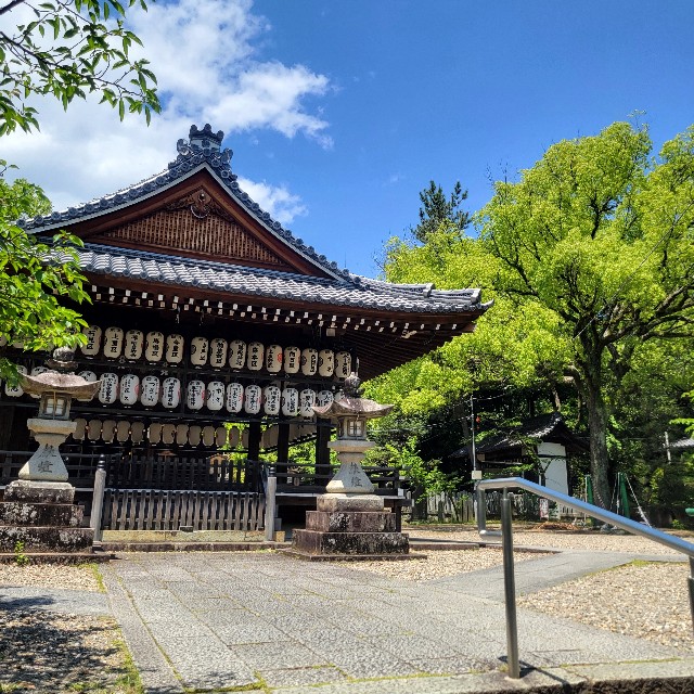 f:id:atoriatoriatori:20250612102053j:image