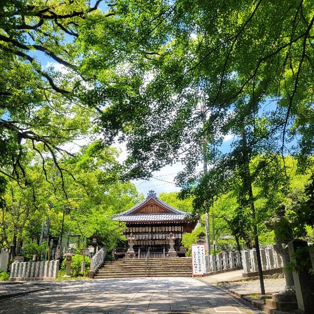 f:id:atoriatoriatori:20250612104250j:image