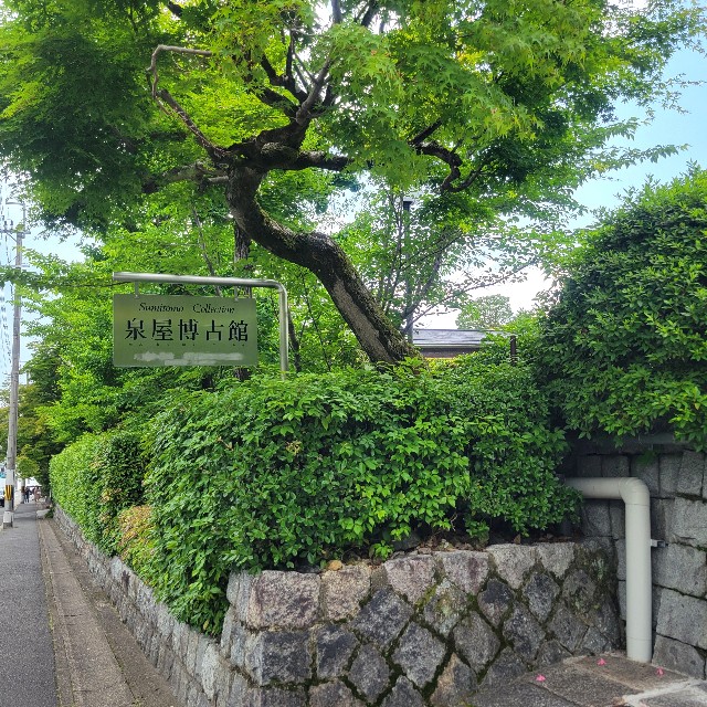 f:id:atoriatoriatori:20250612212446j:image