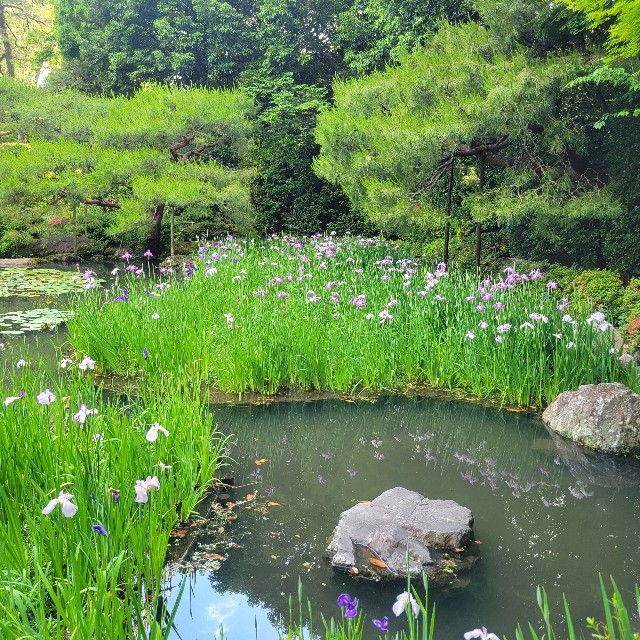 f:id:atoriatoriatori:20250613155408j:image