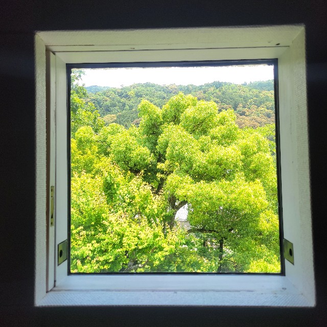 f:id:atoriatoriatori:20250615172418j:image