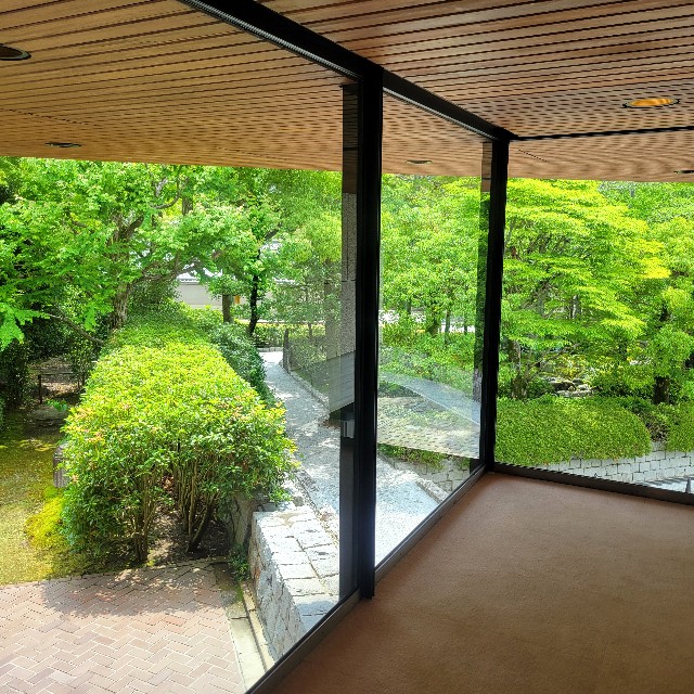 f:id:atoriatoriatori:20250615215542j:image