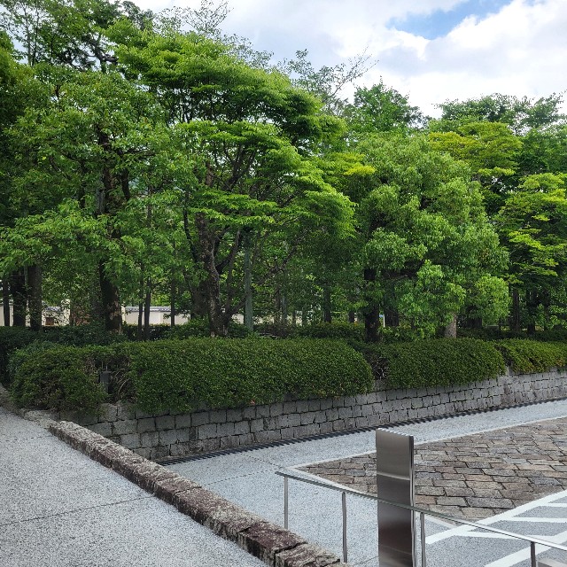 f:id:atoriatoriatori:20250617204606j:image