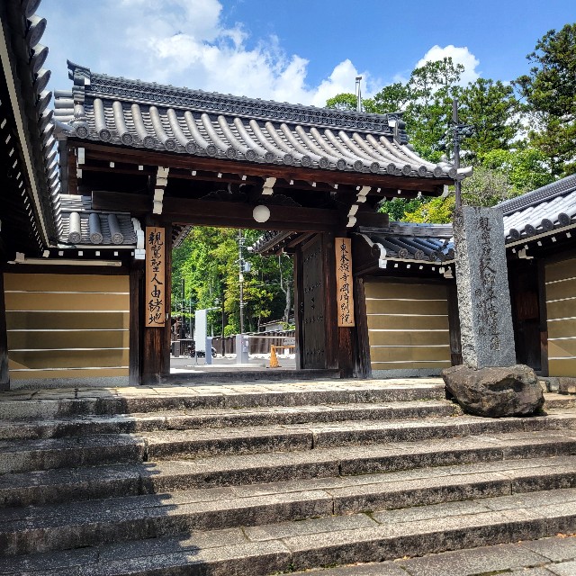 f:id:atoriatoriatori:20250618152845j:image
