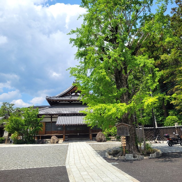 f:id:atoriatoriatori:20250618155004j:image
