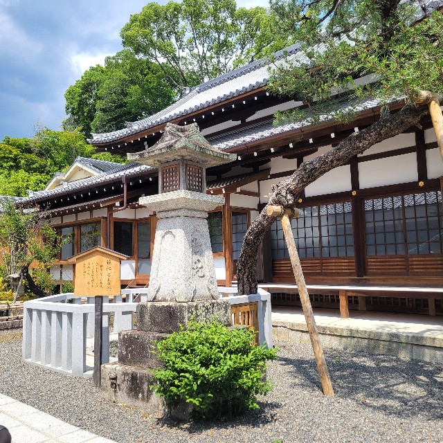 f:id:atoriatoriatori:20250618165229j:image