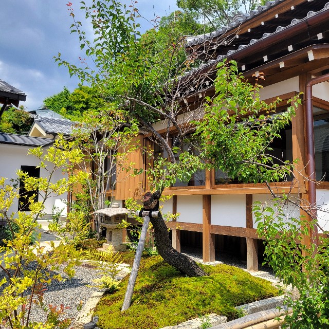 f:id:atoriatoriatori:20250618170044j:image