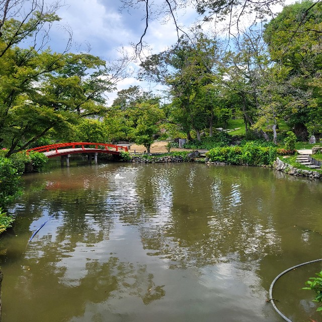 f:id:atoriatoriatori:20250618174915j:image