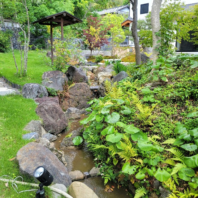 f:id:atoriatoriatori:20250618175327j:image