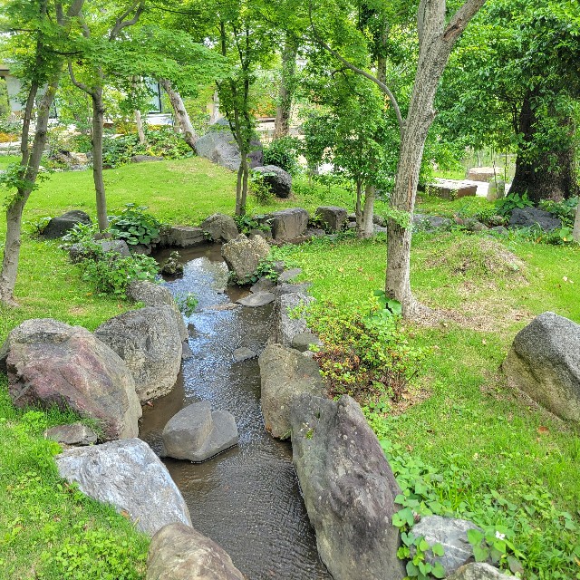 f:id:atoriatoriatori:20250618182353j:image