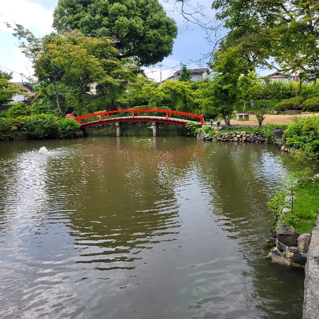 f:id:atoriatoriatori:20250619081936j:image