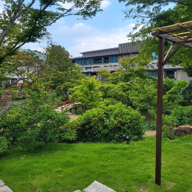 f:id:atoriatoriatori:20250619082335j:image