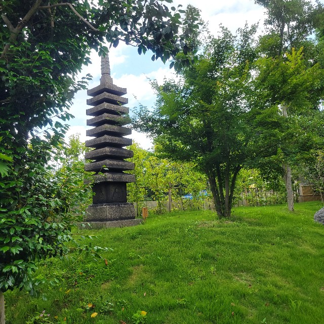 f:id:atoriatoriatori:20250619090255j:image