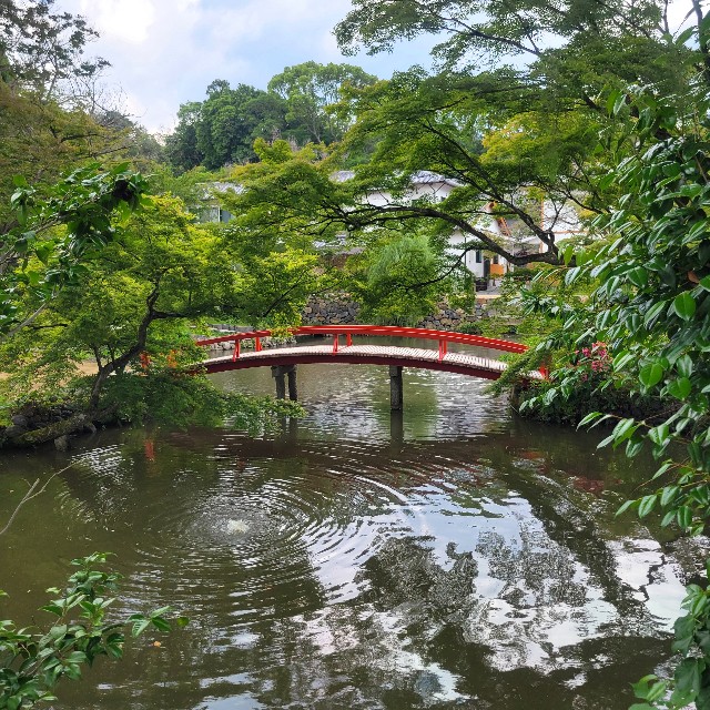 f:id:atoriatoriatori:20250619090639j:image