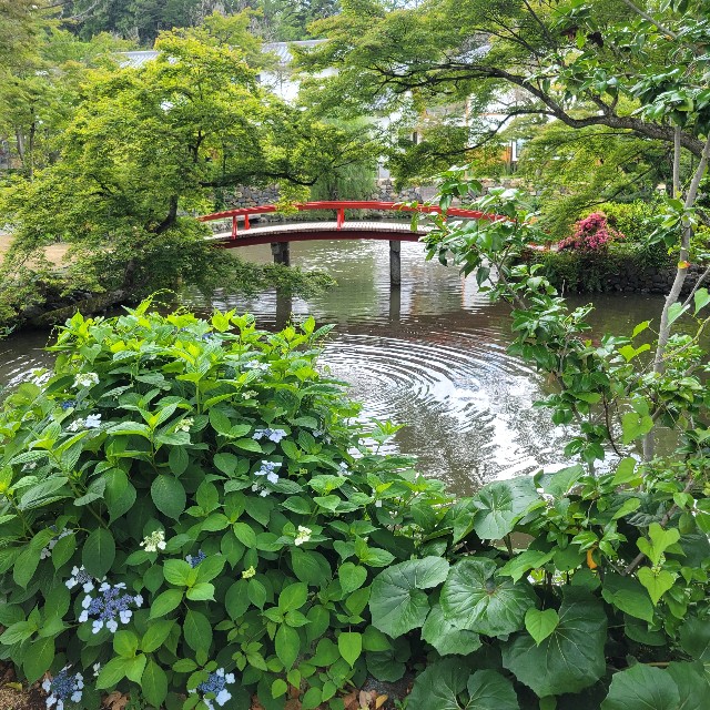 f:id:atoriatoriatori:20250619103847j:image