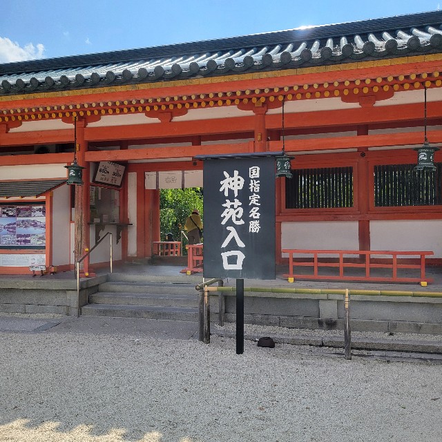 f:id:atoriatoriatori:20250620214558j:image