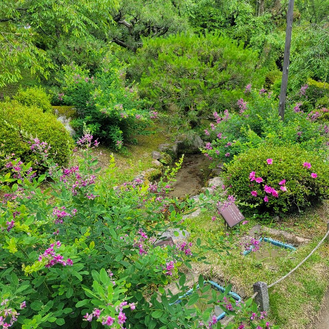 f:id:atoriatoriatori:20250621104417j:image