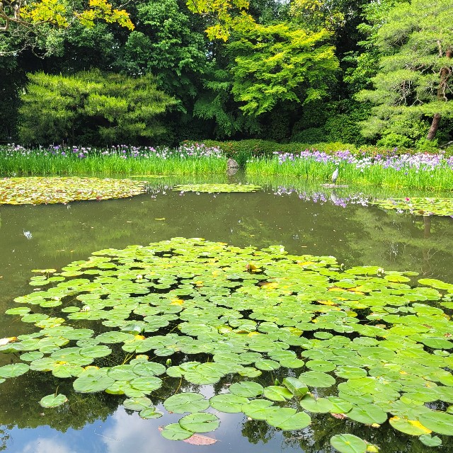 f:id:atoriatoriatori:20250621112137j:image