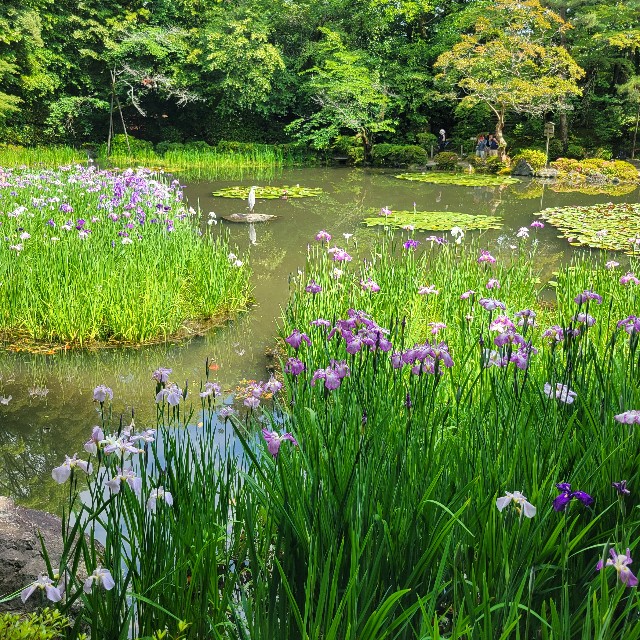 f:id:atoriatoriatori:20250621130847j:image