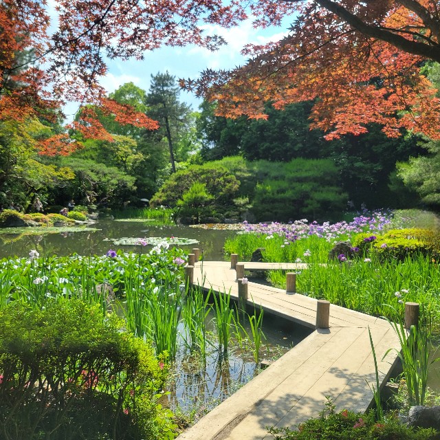 f:id:atoriatoriatori:20250621131455j:image