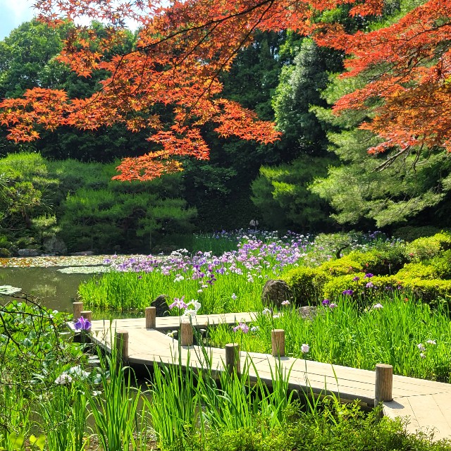 f:id:atoriatoriatori:20250621143217j:image