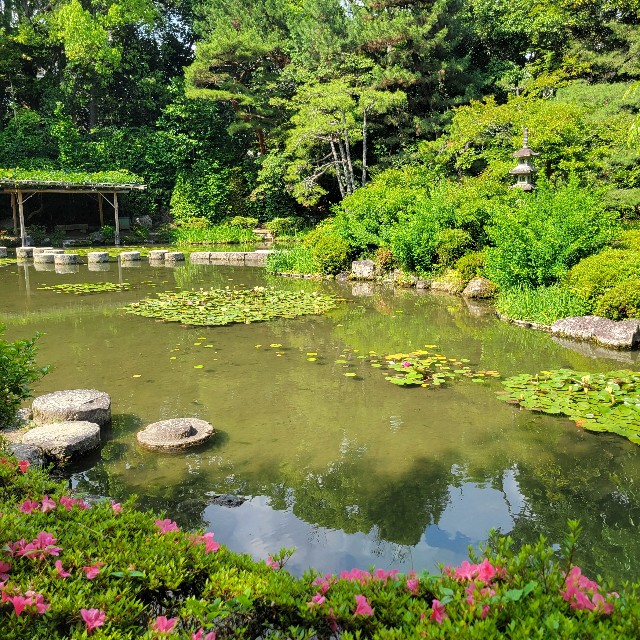 f:id:atoriatoriatori:20250621144139j:image