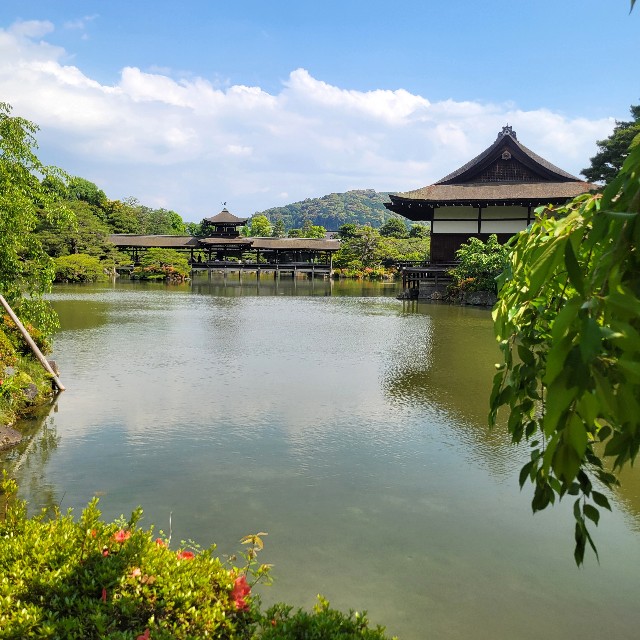 f:id:atoriatoriatori:20250621144727j:image