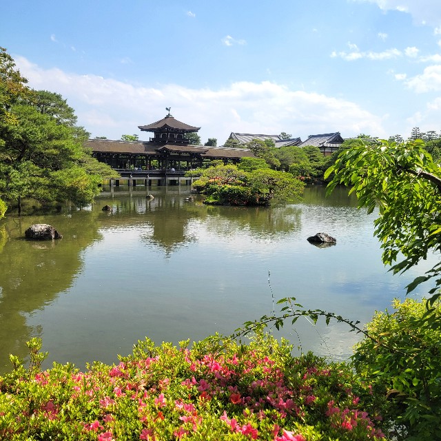 f:id:atoriatoriatori:20250621144737j:image