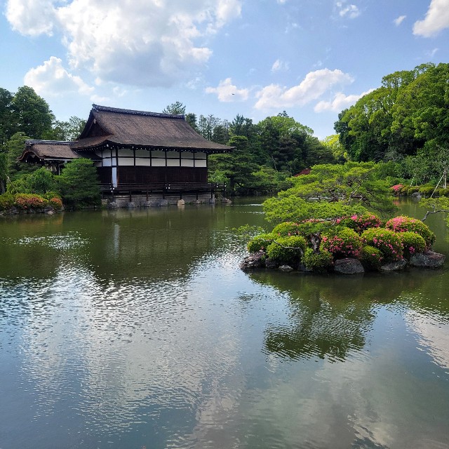 f:id:atoriatoriatori:20250621144744j:image