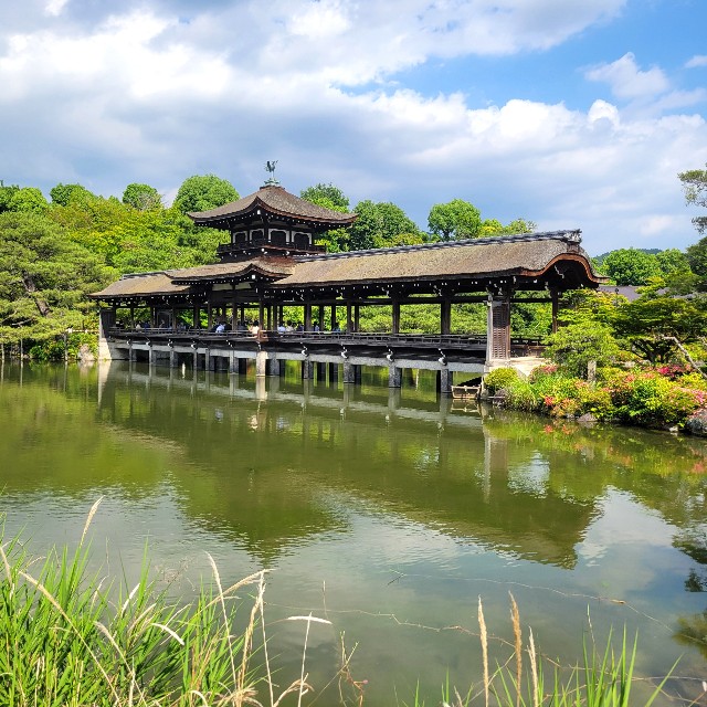 f:id:atoriatoriatori:20250621144752j:image