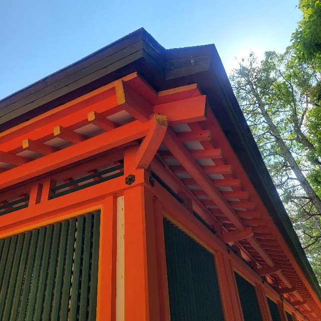 f:id:atoriatoriatori:20250623104440j:image