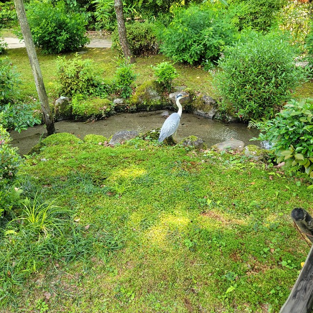 f:id:atoriatoriatori:20250623133025j:image