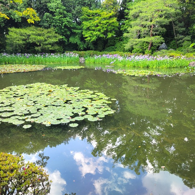 f:id:atoriatoriatori:20250623135013j:image