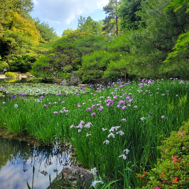 f:id:atoriatoriatori:20250623135037j:image